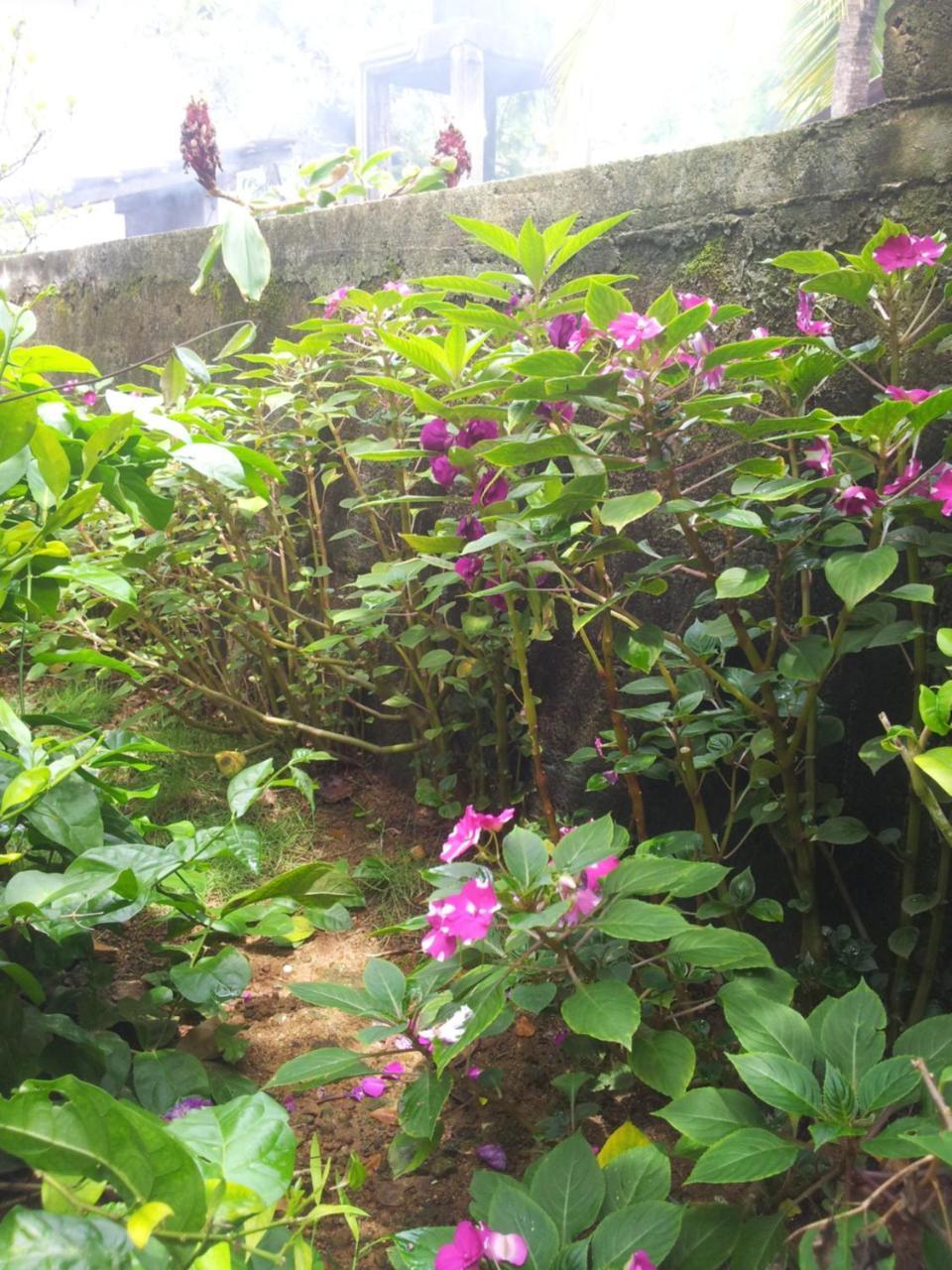 Ami Place Rooms With Kitchen Hikkaduwa Exterior foto